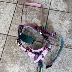 Colorful dog harness with Pink and Teal Accents